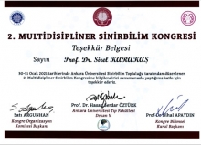 BEDEN-ZİHİN SORUNU VE SİNİRBİLİME ETKİLERİ         